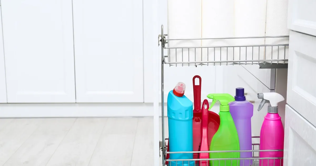 Open under-sink cabinet showing a tiered sliding organizer and labeled clear bins arranged neatly around the pipes.